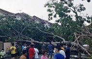 Rumah dihempap pokok tumbang akibat ribut￼