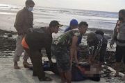 Bot laju dari Indonesia menuju ke Malaysia karam dipukul ombak
