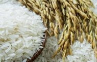 India setuju eksport beras putih ke Malaysia