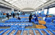Russia gantung import makanan laut Jepun