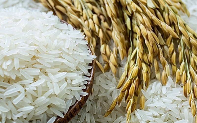 Industri Beras Sabah: Melangkah ke hadapan dalam bekalan dan pembangunan ekonomi