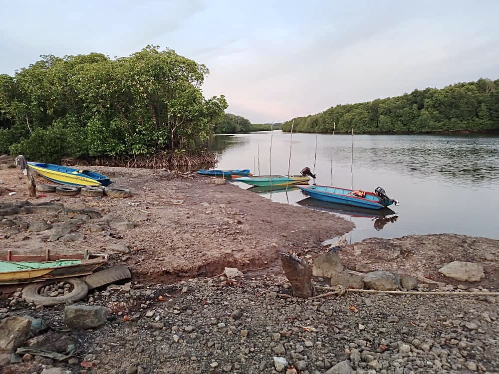 Lelaki maut dipercayai dibaham buaya di Kinabatangan