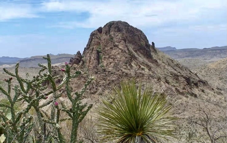 Lelaki minum dari lopak air, makan berudu selepas sesat di gurun