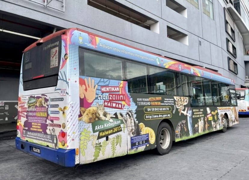 Aniaya haiwan: Pulau Pinang ketiga tertinggi selepas Selangor, KL