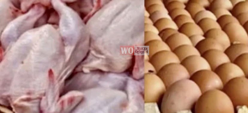Pertimbang semula subsidi ayam, telur di Sabah - persatuan pengguna