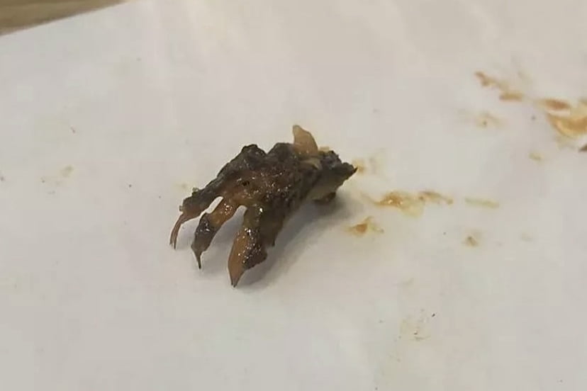 Wanita terkejut jumpa kaki haiwan dalam hidangan restoran popular