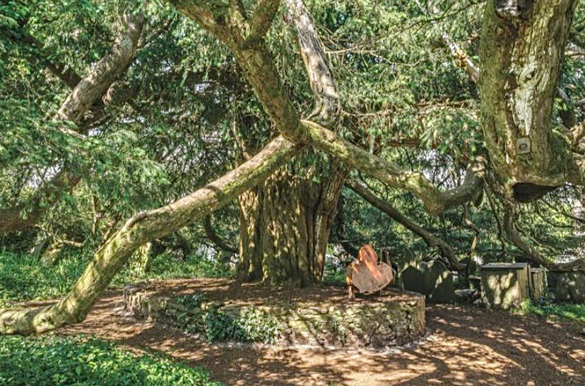 Remaja maut makan beri beracun di taman Manchester