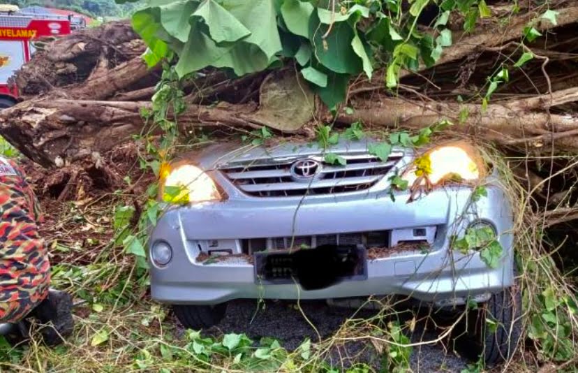 Dua lelaki maut selepas kereta, motosikal dihempap pokok