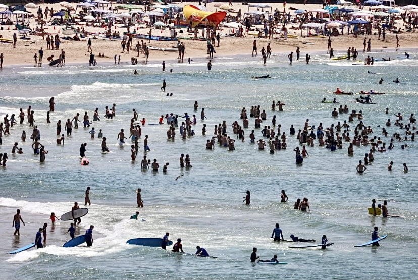 Suhu panas melampau landa Sydney