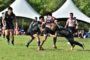 SAGA X: Badminton Kota Kinabalu, Tuaran rangkul dua emas