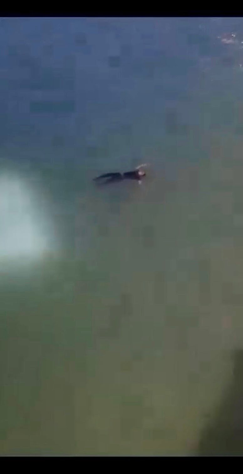 Pasangan jatuh Jambatan Pulau Pinang selepas bertengkar