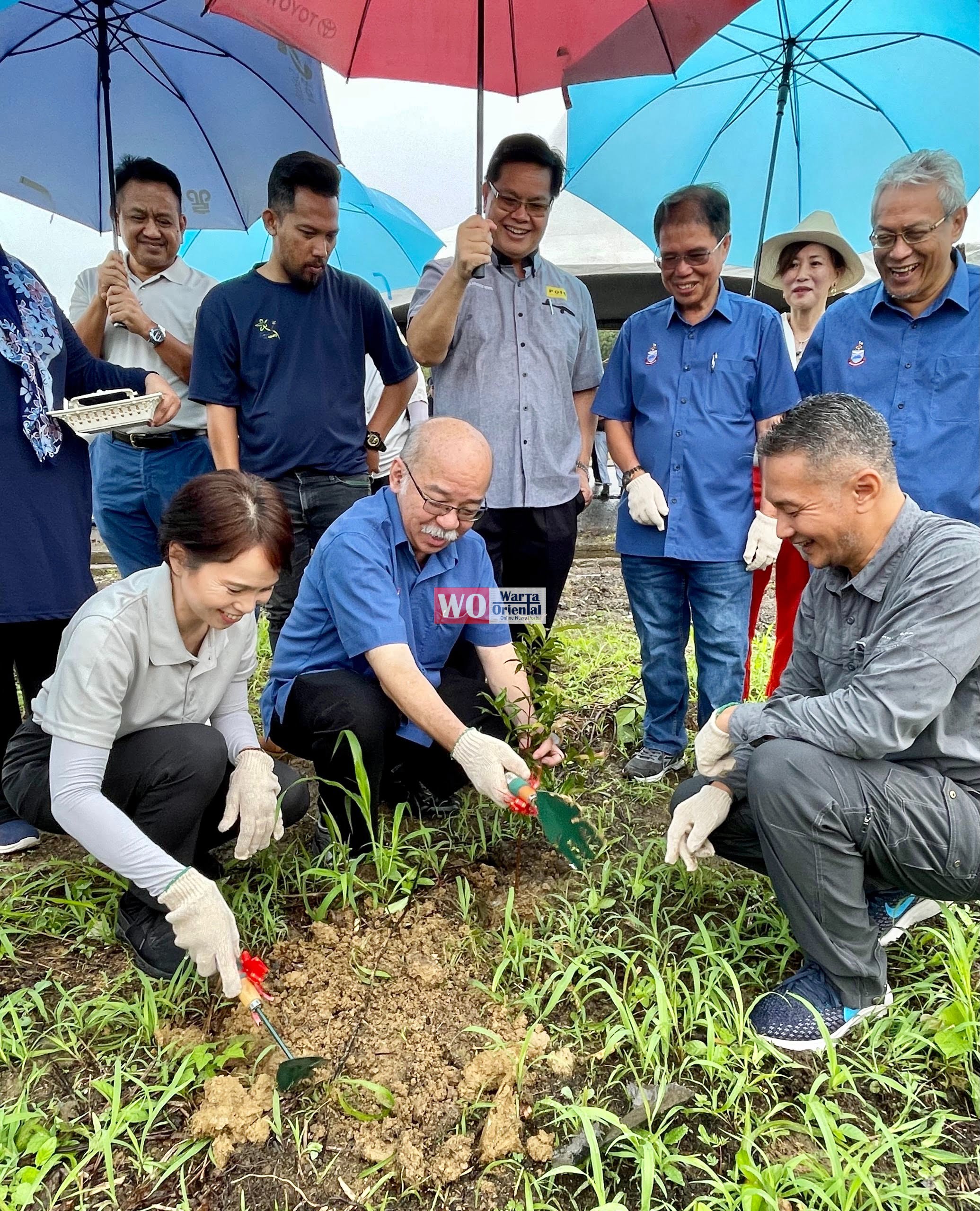 POIC backs tree planting campaign and energy road map