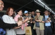Kundasang kiguno monilombus kointutunan sabaagi papalabus agayo kinotuan tana’ tidong