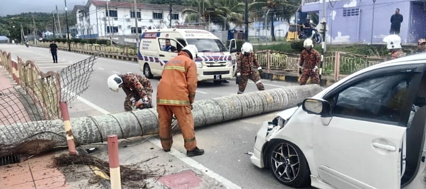 Enam sekeluarga terselamat, pokok tumbang timpa kereta