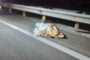 Anak maut, ibu tertinggal dalam kereta