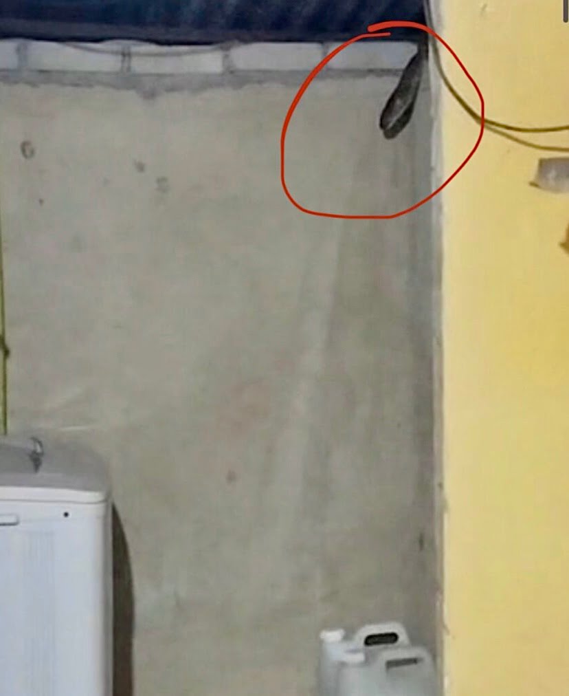 Wanita terselamat, tedung selar kurang semeter atas kepala
