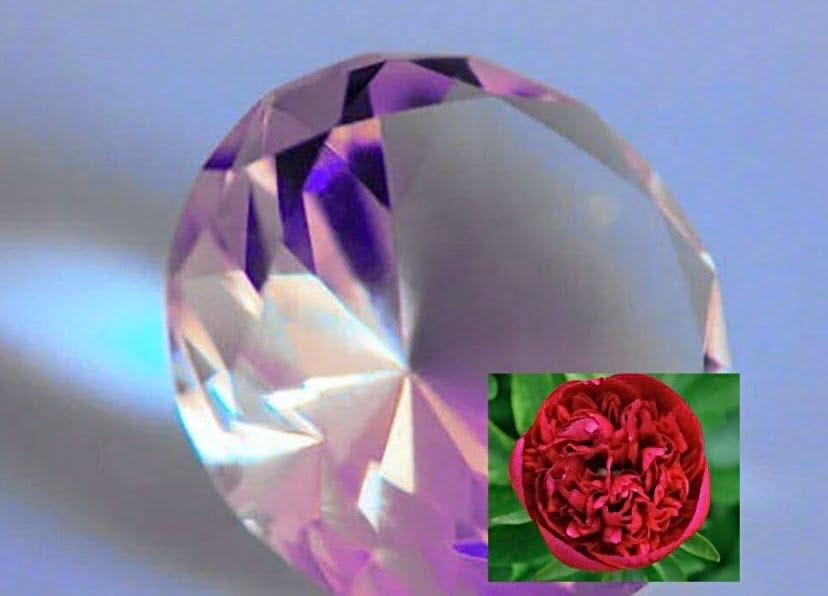 Saintis China hasilkan berlian dari bunga peony