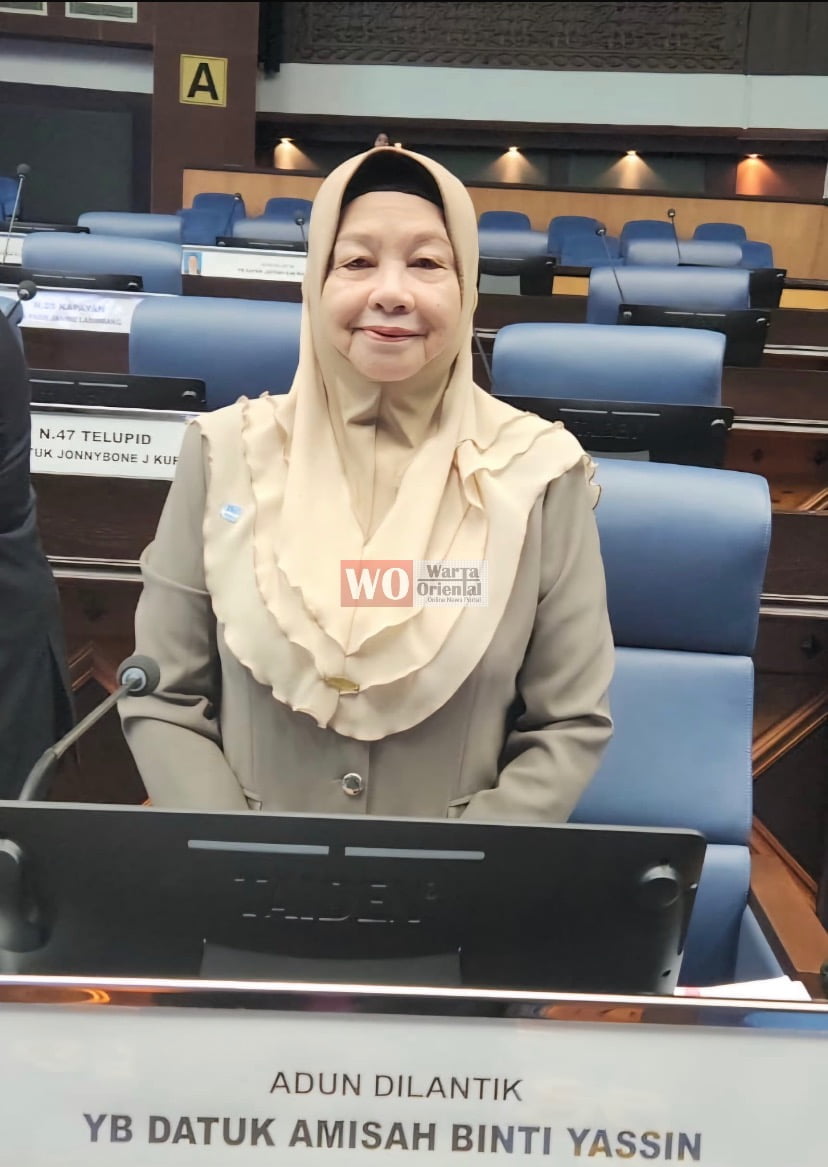 Tangani masalah penderaan kanak-kanak, gubal langkah sewajarnya - Amisah