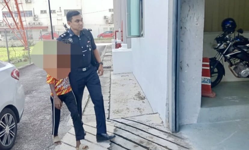 Remaja lelaki mengaku bersalah bakar kucing hidup-hidup