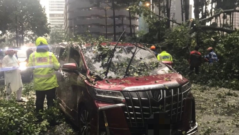 Pokok tumbang nyaris hempap Lexus bawa Ketua Menteri Melaka
