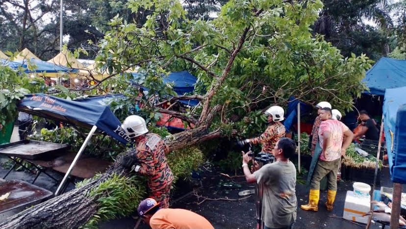 Khemah peniaga pasar malam dihempap pokok