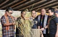 Pesta Kaamatan Mukim Tiulon, Sook meriah
