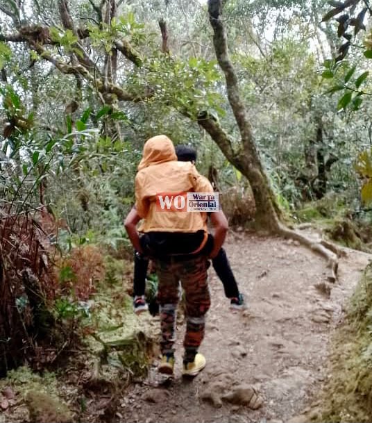 Pendaki sakit, tidak mampu berjalan dibawa turun dari Gunung Kinabalu