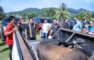 Ewon sampaikan sumbangan tujuh ekor lembu korban kepada masjid DUN Kadamaian