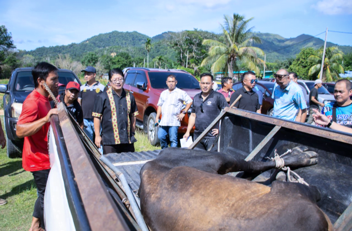 Ewon sampaikan sumbangan tujuh ekor lembu korban kepada masjid DUN Kadamaian
