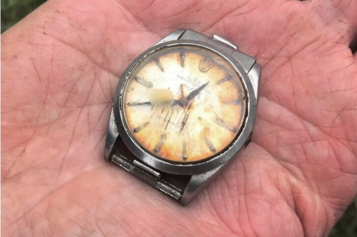 Jam tangan hilang 50 tahun ‘ditelan’ lembu