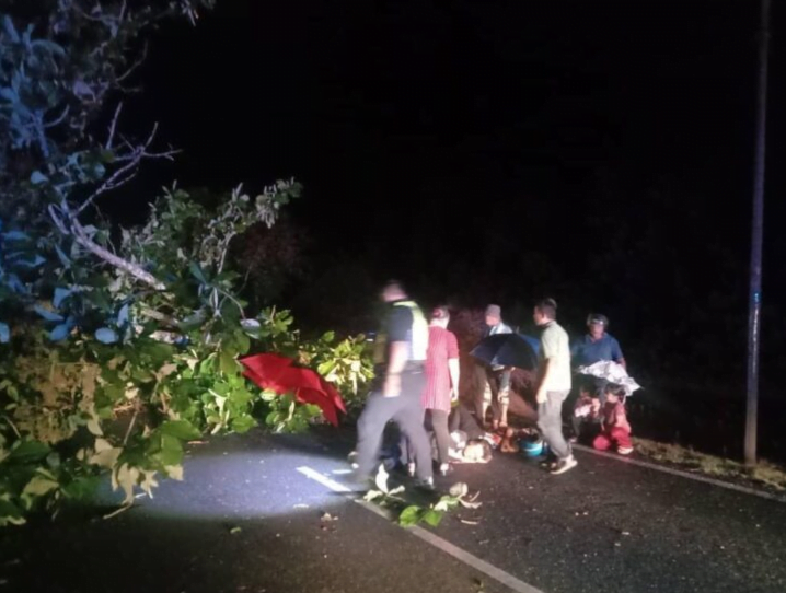 Motosikal ditimpa pokok, wanita kematian anak dalam kandungan