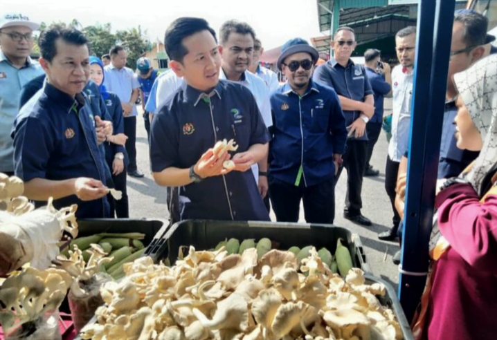 Durian segar mula dieksport ke China September ini