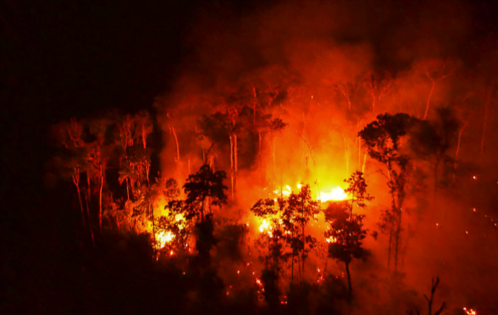 Amazon rekod 13,489 kebakaran hutan