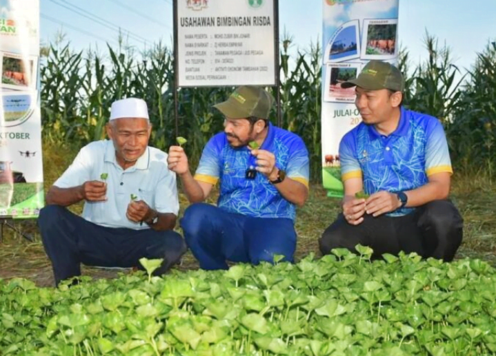 Banci pertanian bermula hari ini
