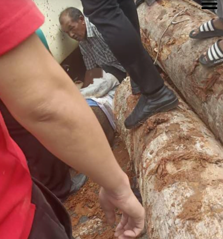 Wanita nyaris maut dihempap kayu balak