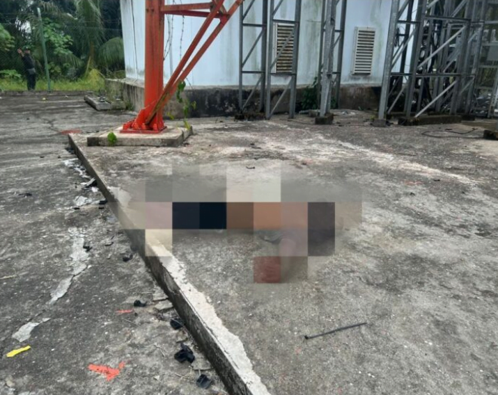 Lelaki OKU ditemukan maut terjatuh dari pencawang elektrik di Kinabatangan