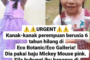 Dua polis trafik peras ugut, pukul warga asing ditahan