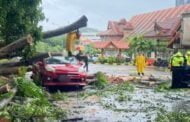 Pokok hempap kereta, rumah dalam kejadian berasingan di KK, Papar