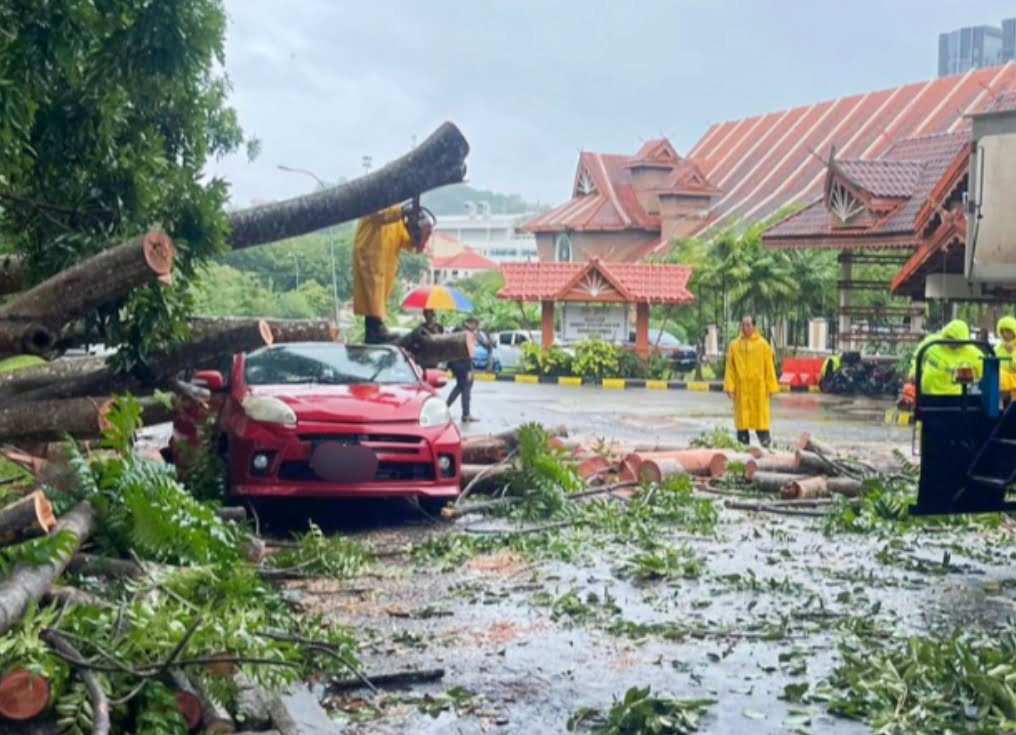 Pokok hempap kereta, rumah dalam kejadian berasingan di KK, Papar