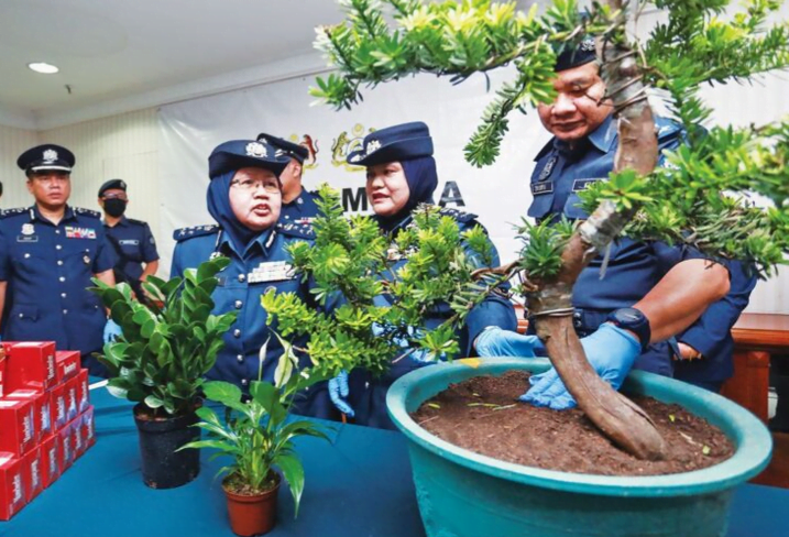 Dua sindiket seludup 217 kenderaan mewah bernilai RM27.5 juta tumpas