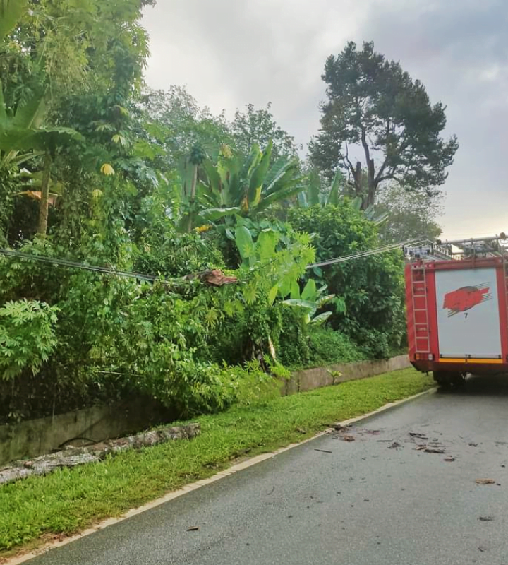 Pelajar dalam perjalanan ke sekolah maut dihempap pokok