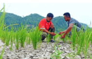 Julai 2024 bulan kedua paling panas di dunia