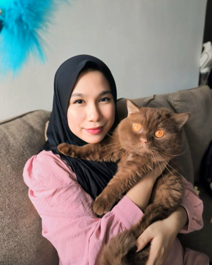 British shorthair panjang umur