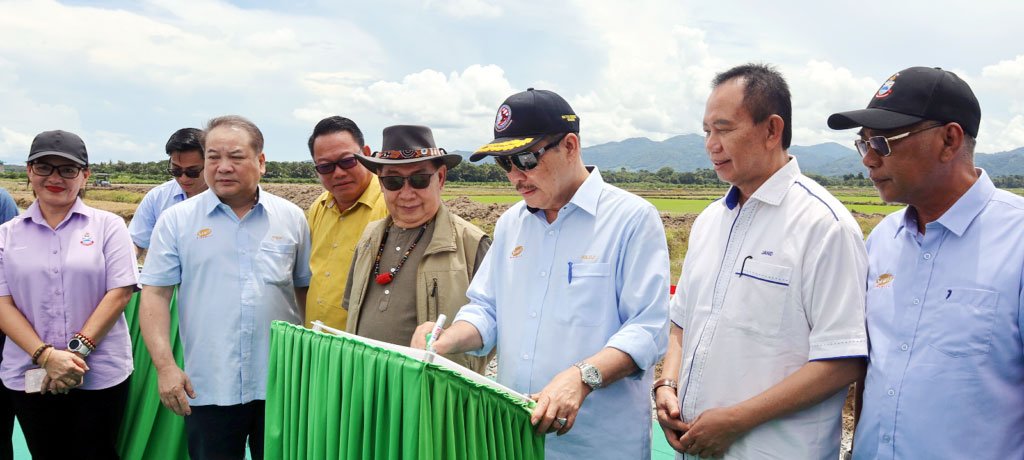Projik perintis pananaman parai kiginayo 100 hektar pinoimpuun id Kota Marudu