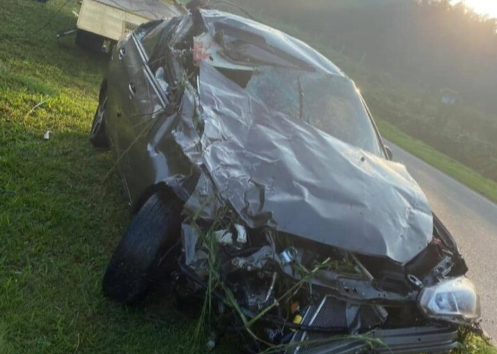 Lembu melintas, seorang maut, enam cedera