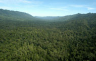 Meneroka potensi tersembunyi di Kanyon Imbak