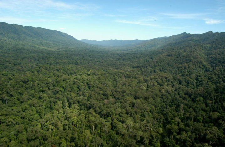 Meneroka potensi tersembunyi di Kanyon Imbak