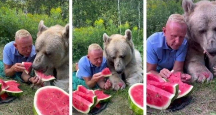 Lelaki Russia selamba kongsi tembikai dengan beruang