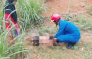 Maut disengat tebuan ketika petik dokong