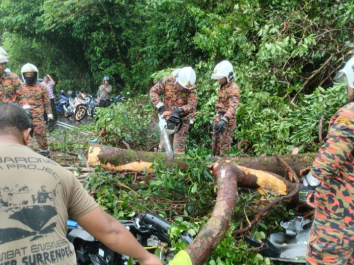2,575 panggilan pokok tumbang seluruh negara, Selangor tertinggi
